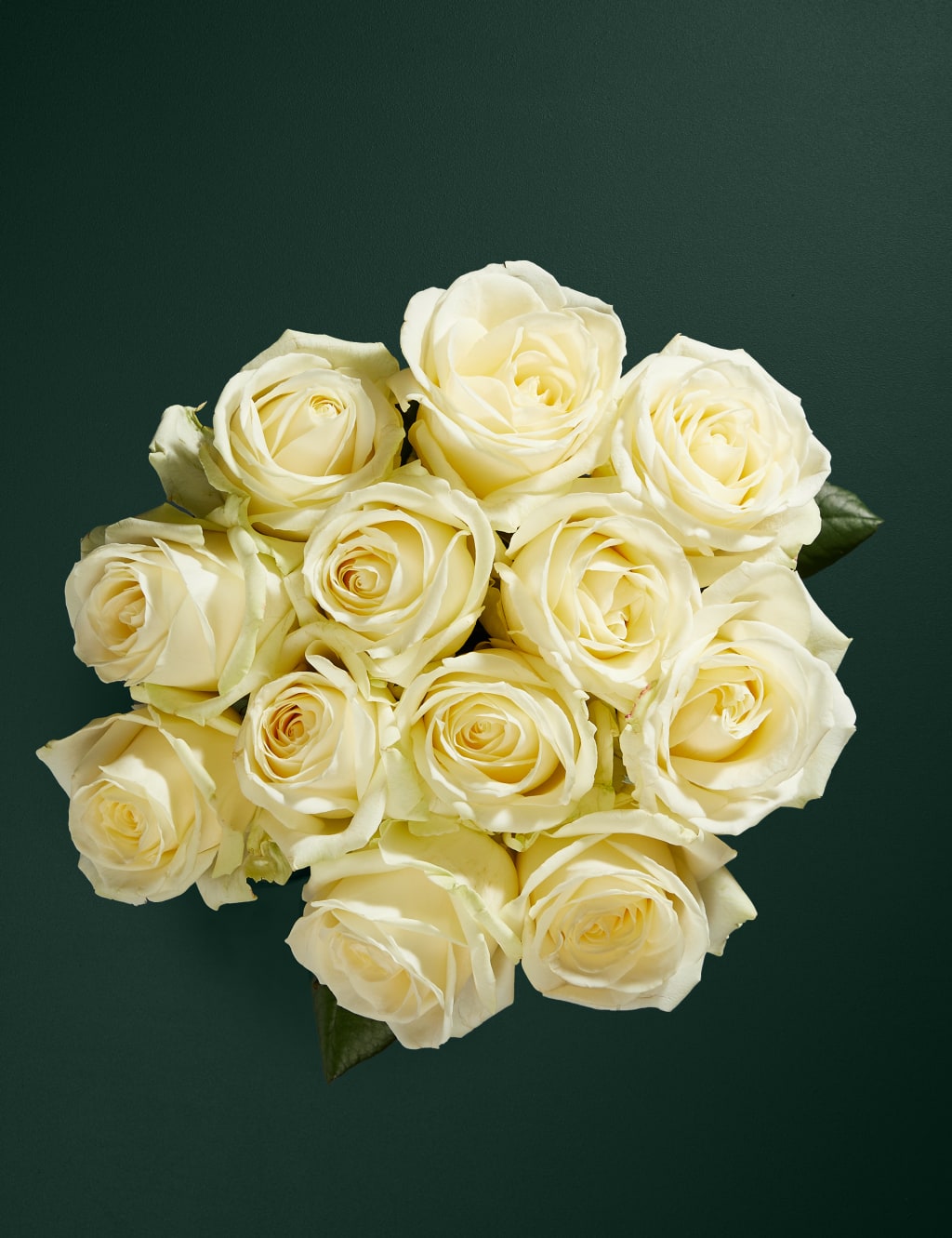 White Avalanche™ Rose Bouquet 2 of 5