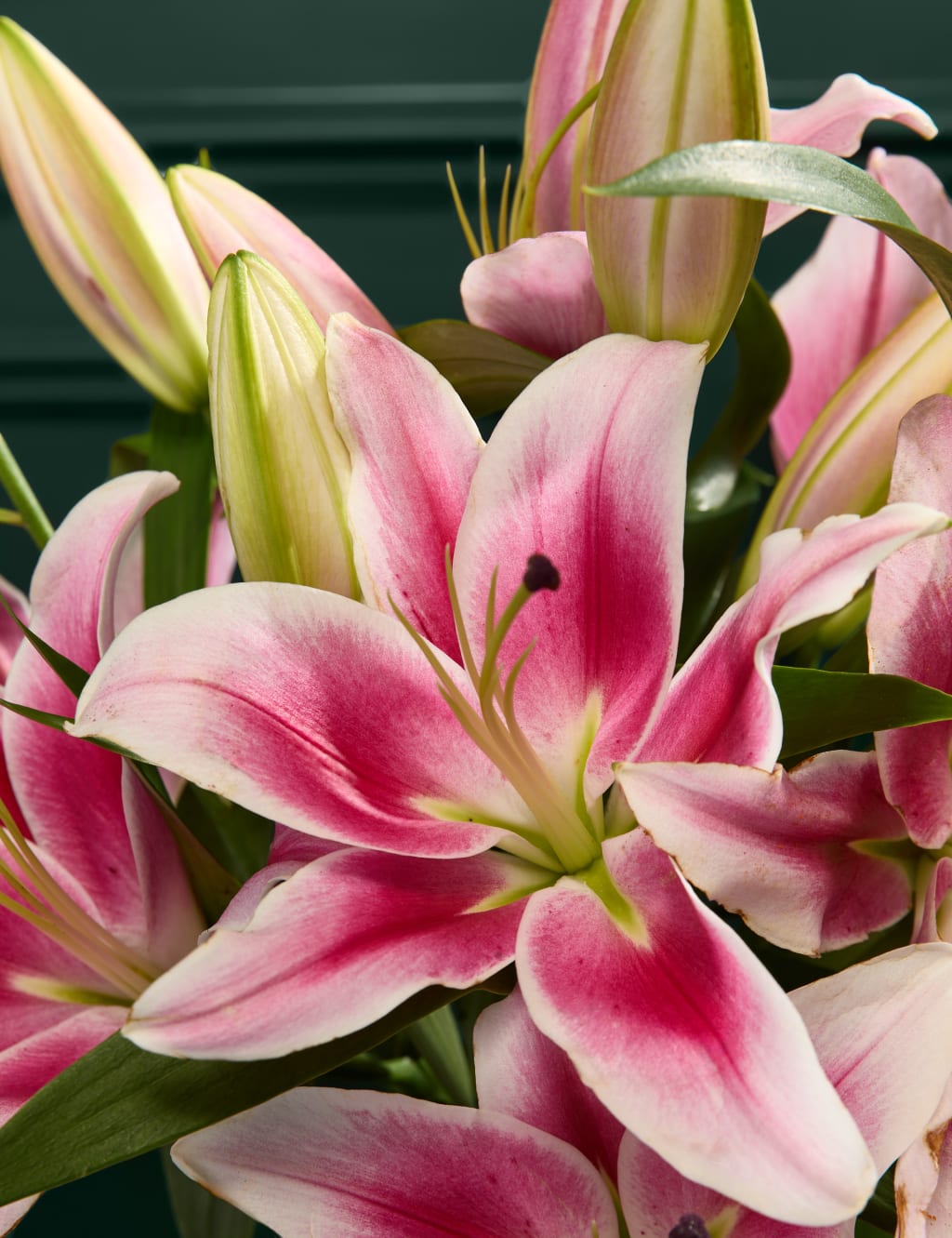 Pink Oriental Lily Abundance Bouquet 3 of 6