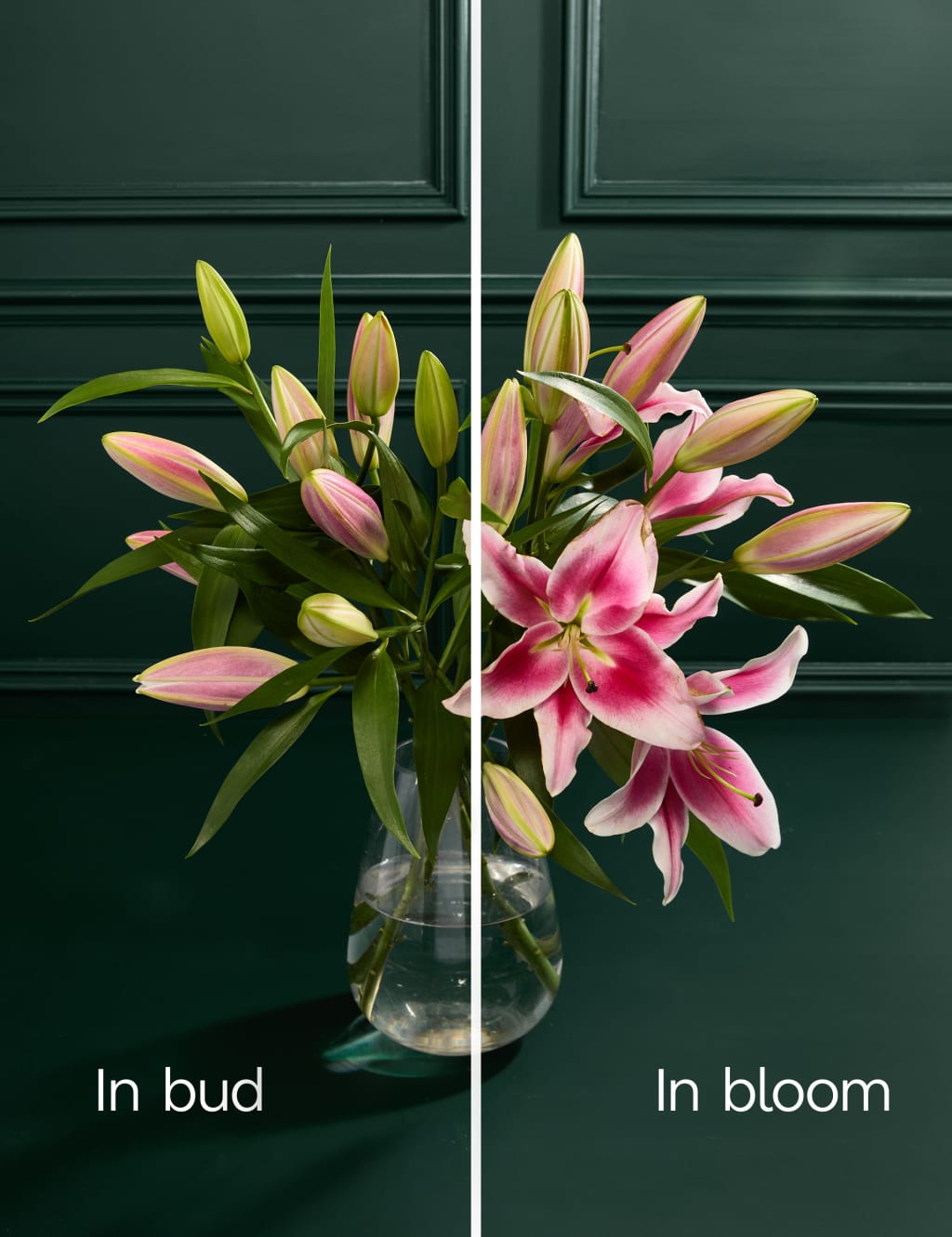 Pink Oriental Lily Abundance Bouquet 4 of 6