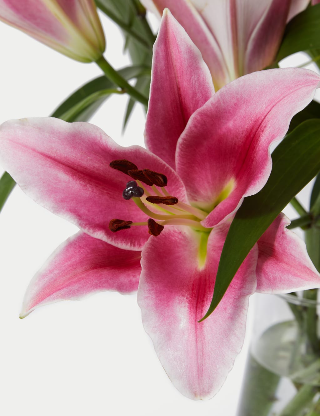 British Pink Lily Abundance Bouquet 4 of 7