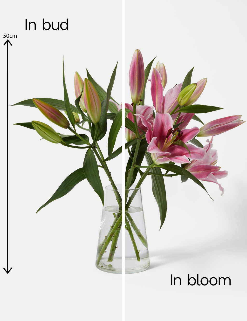 British Pink Lily Abundance Bouquet 5 of 7