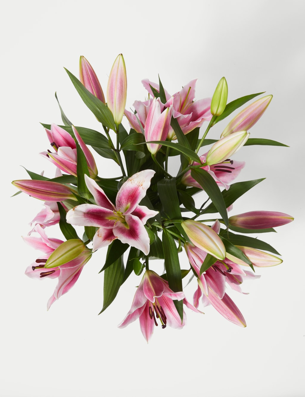 British Pink Lily Abundance Bouquet 2 of 7