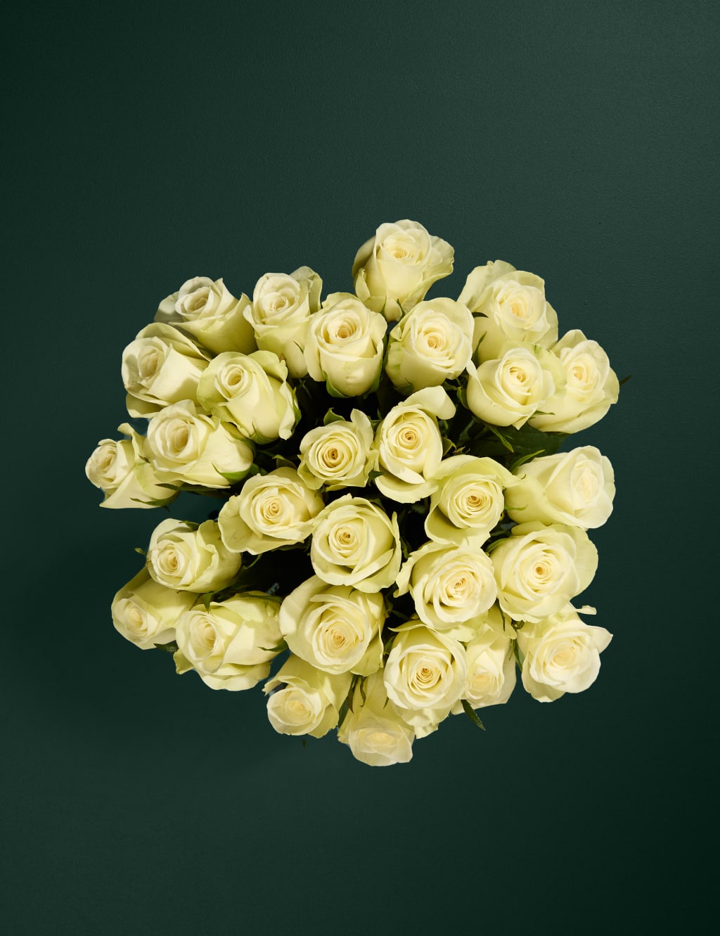 New Baby Rose Bouquet with Baby Set (0-3 months) 2 of 7