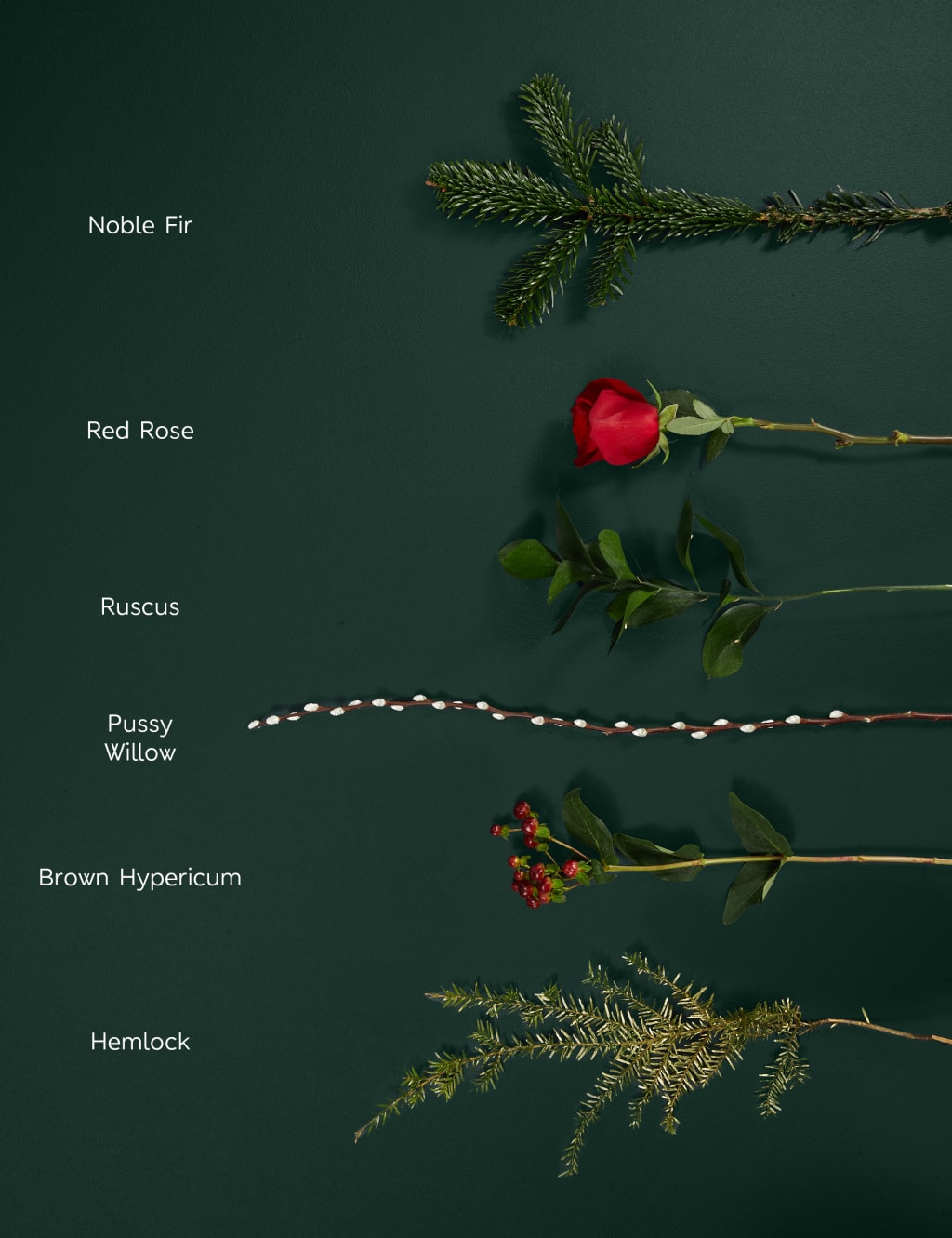Luxury Festive Red Rose Bundle 6 of 6