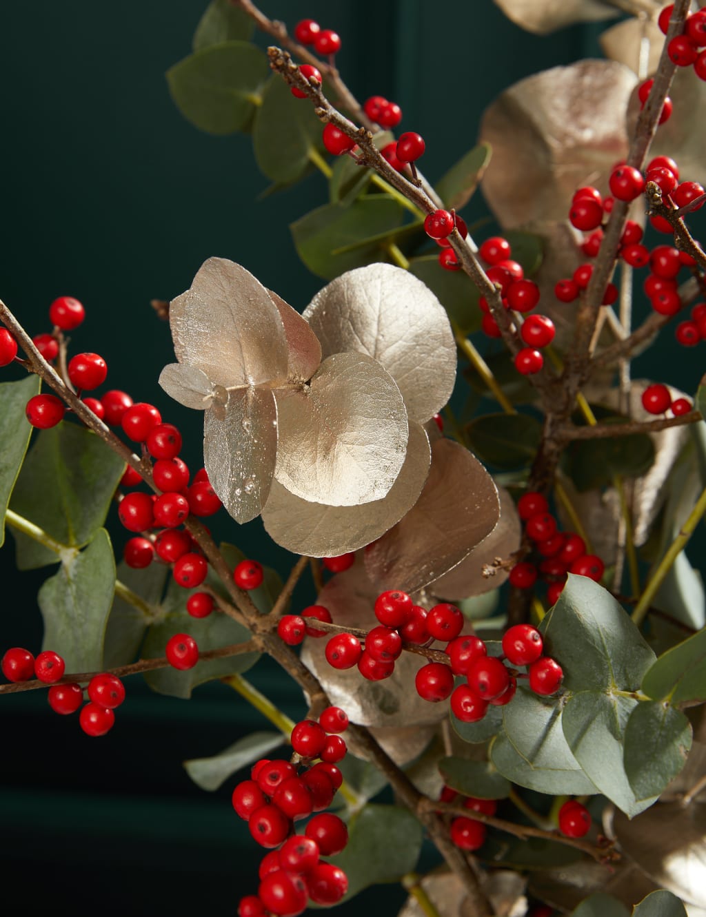 Ilex & Eucalyptus 3 of 3