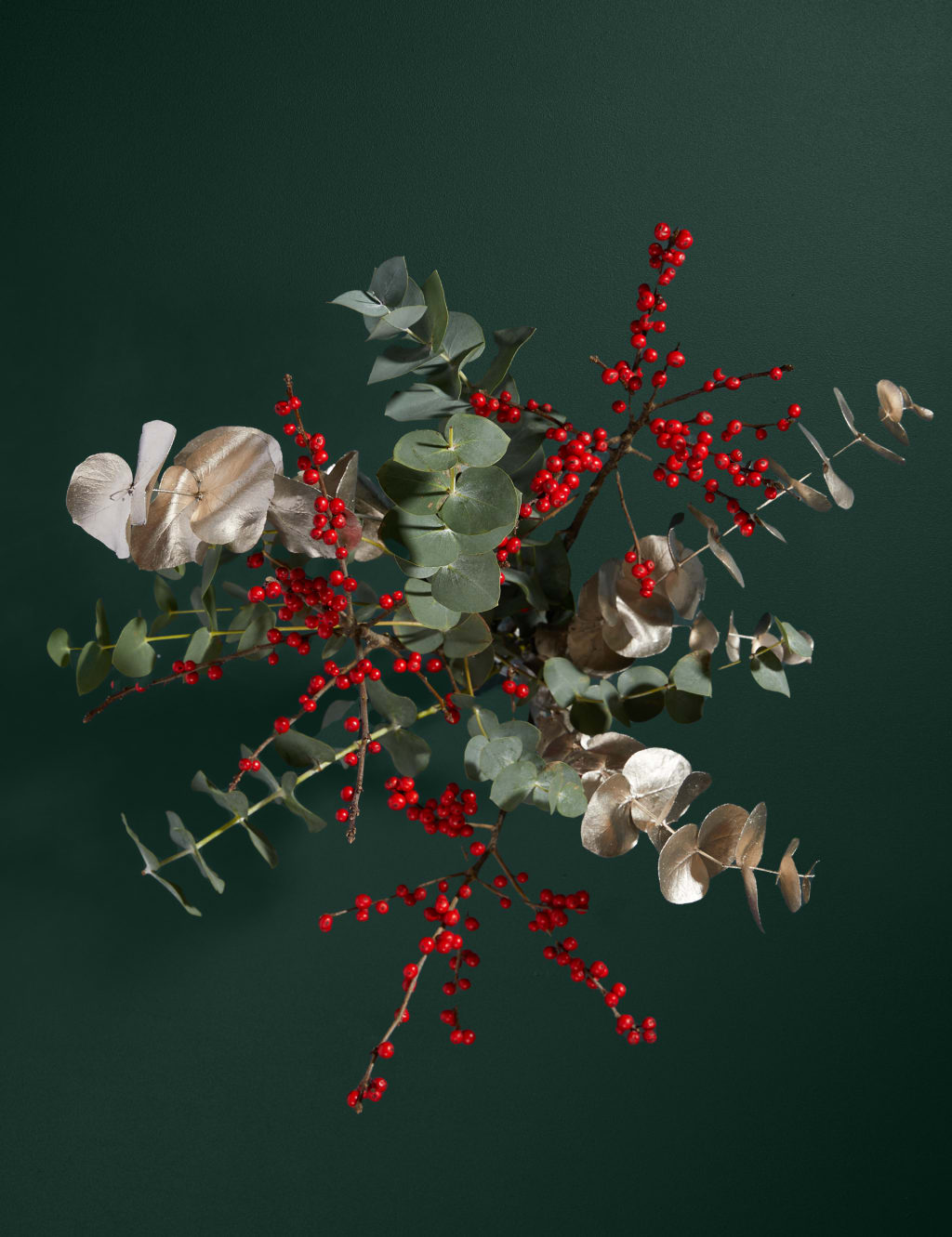 Ilex & Eucalyptus 2 of 3