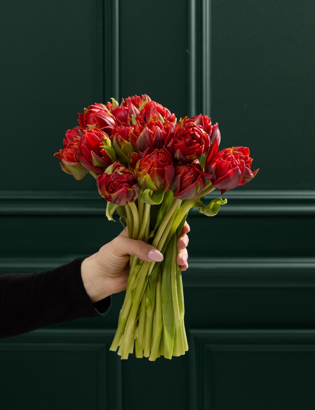 Speciality Tulip Abundance Bouquet 1 of 5