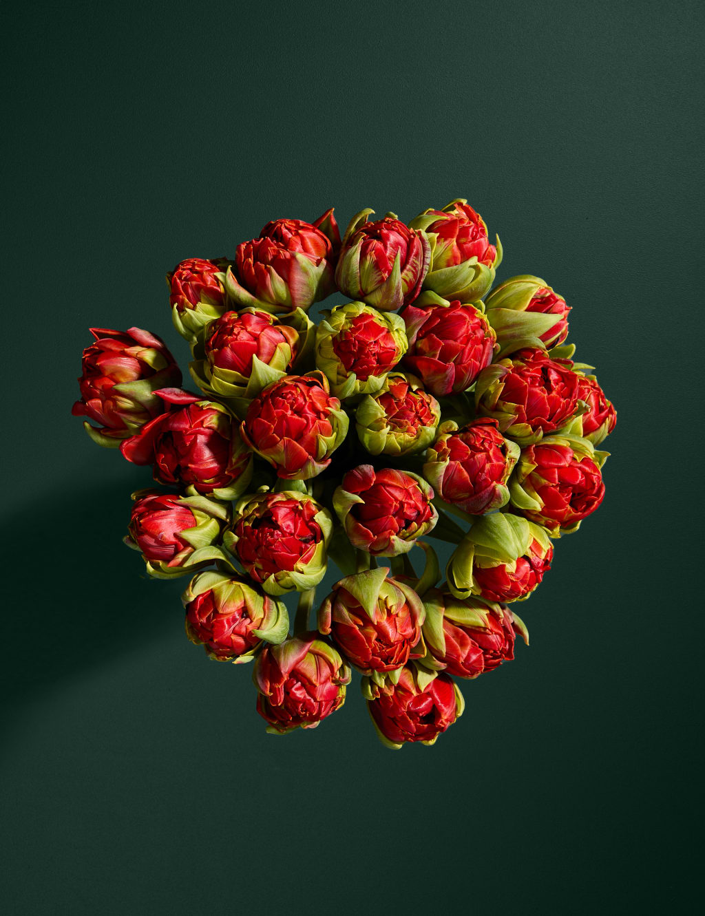 Speciality Tulip Abundance Bouquet 2 of 5