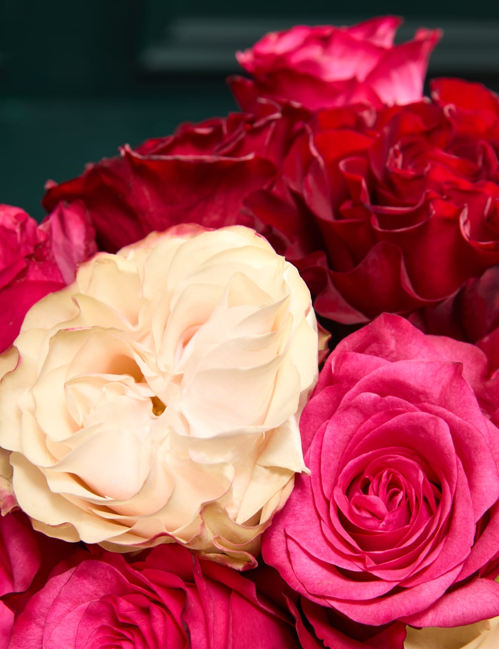 Mixed Rose Bouquet with Chocolates & Champagne 3 of 7