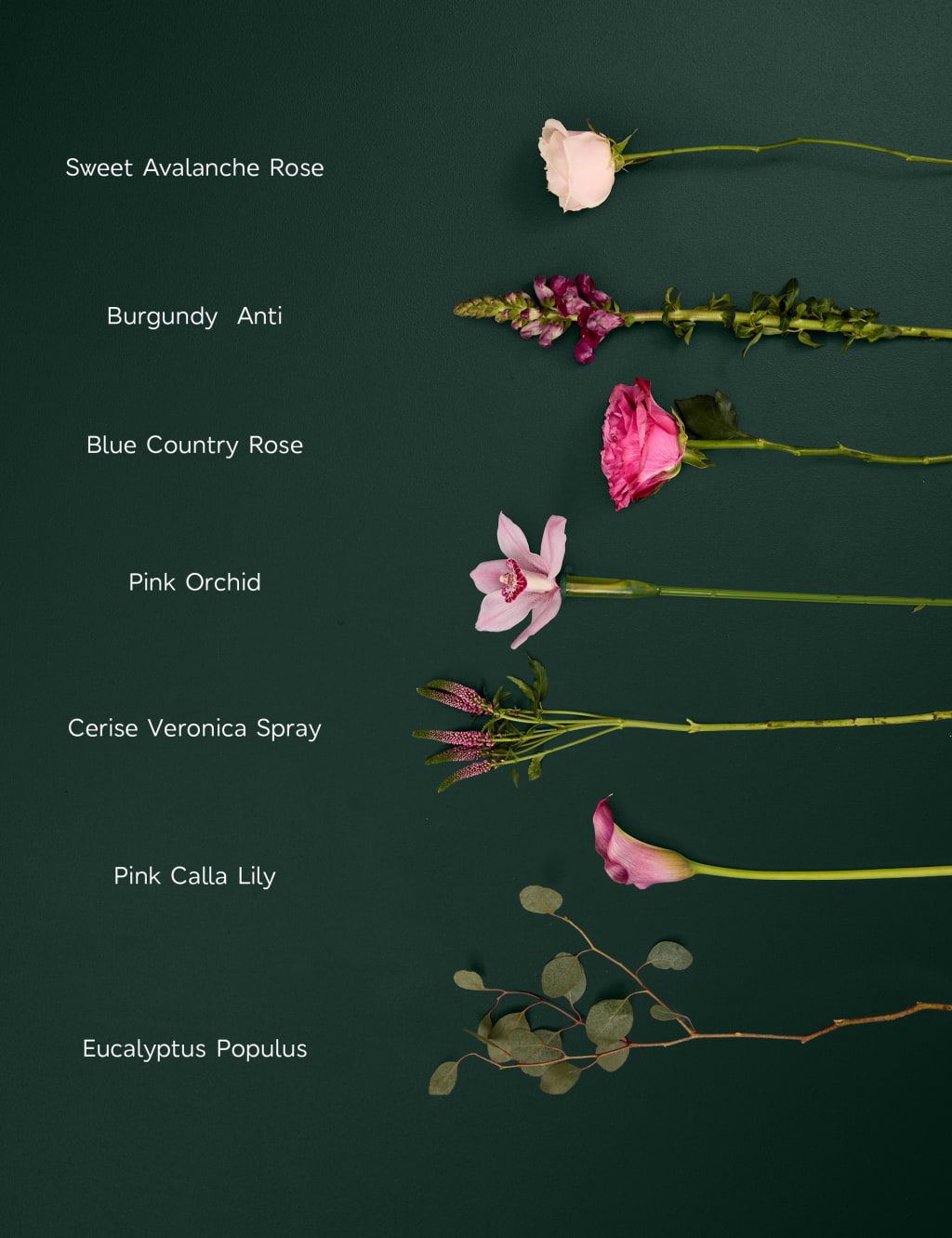 Rose, Calla Lily & Cymbidium Orchid Bouquet 4 of 8