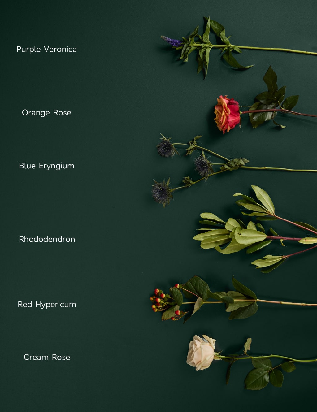 Orange & Cream Rose Bouquet 4 of 6