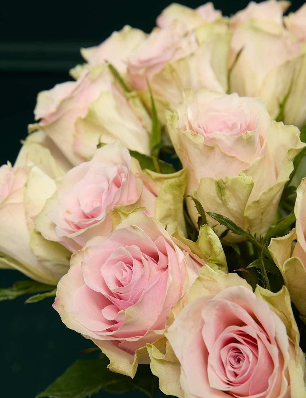 Blush Rose Bouquet & Beauty Hamper 3 of 7