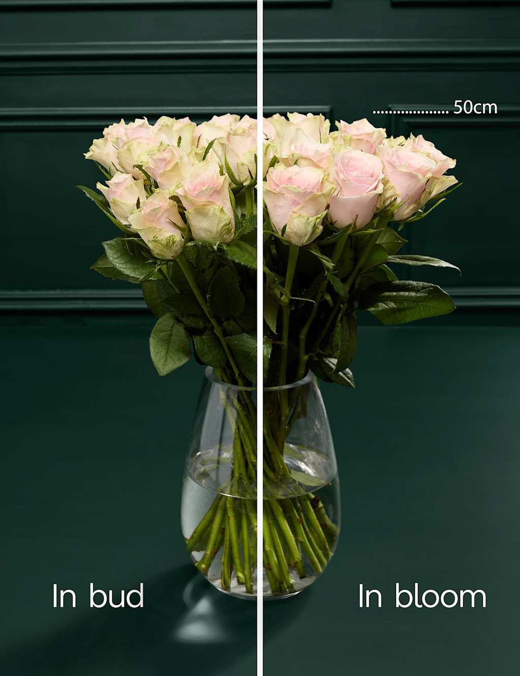Blush Rose Bouquet & Beauty Hamper 5 of 7