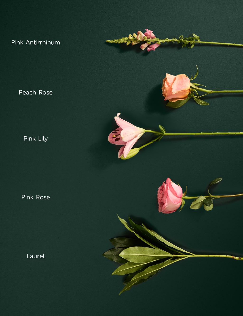 Pink Rose & Lily Bouquet 4 of 7