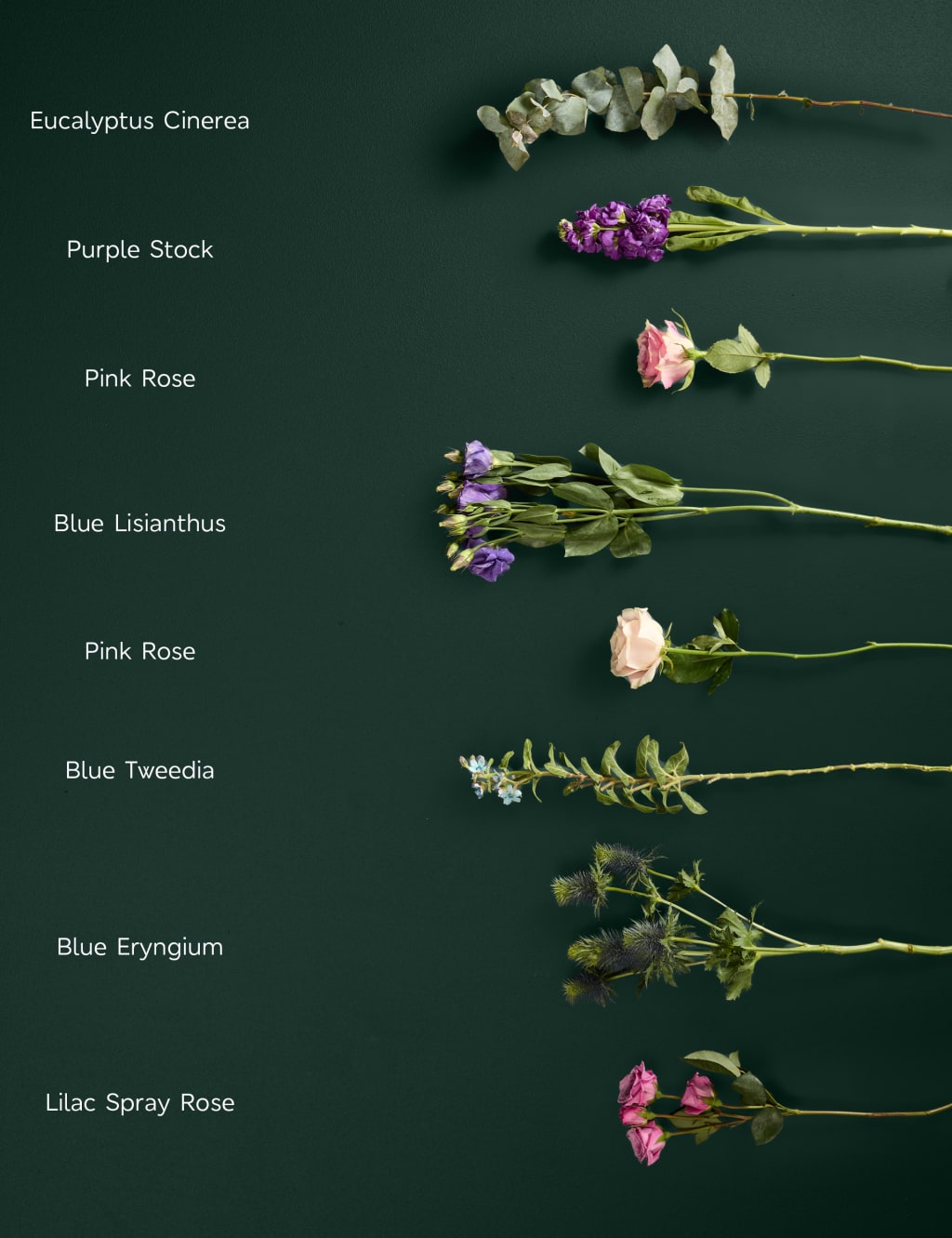 Rose, Lisianthus & Tweedia Bouquet 4 of 6