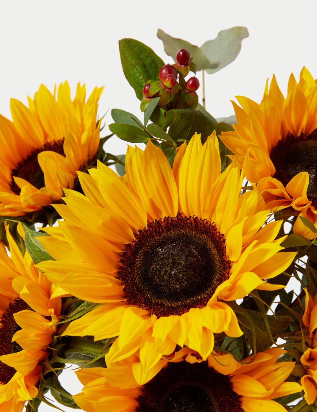 Sunflower & Hypericum Bouquet 4 of 5