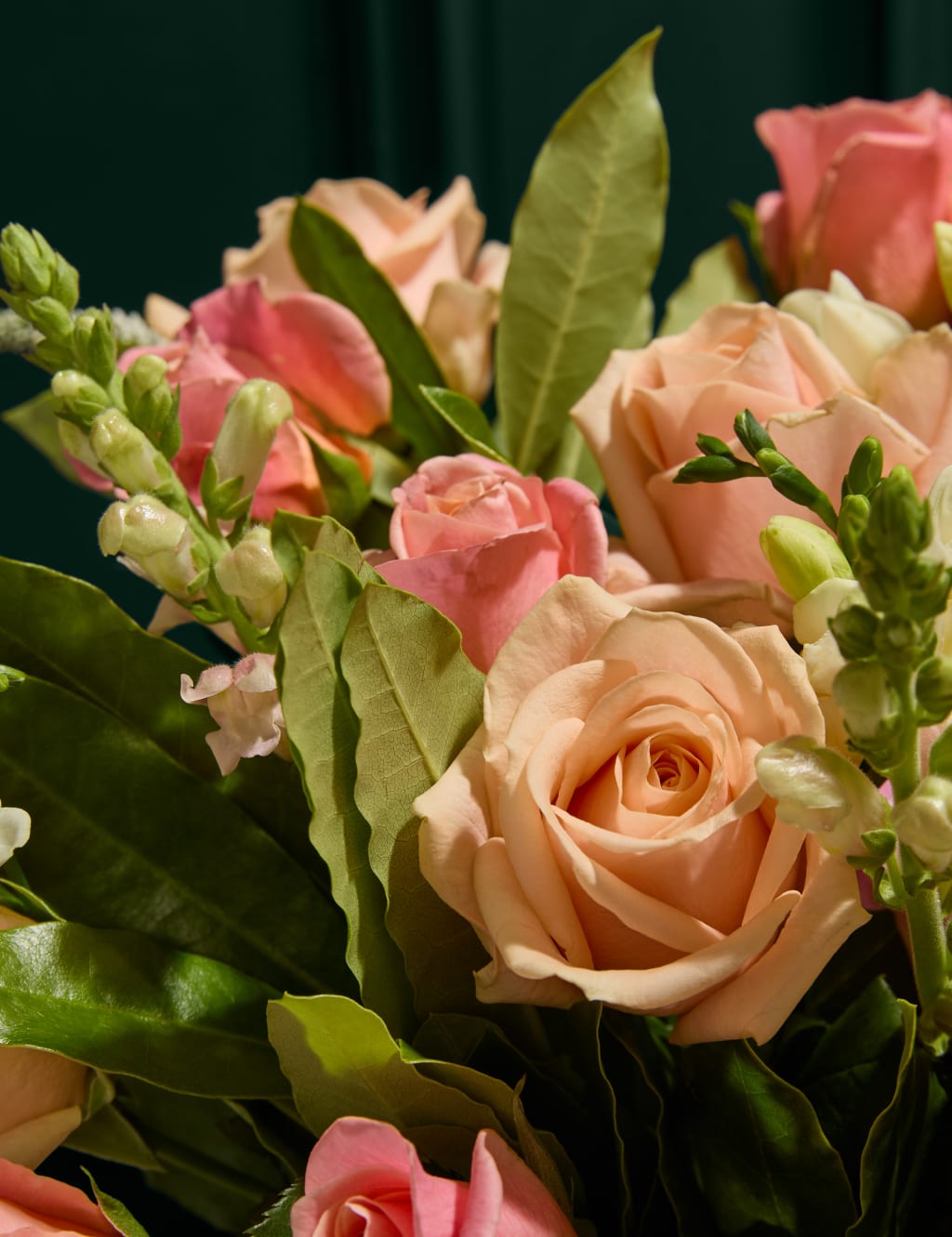 Peach Rose & Freesia Bouquet 4 of 8