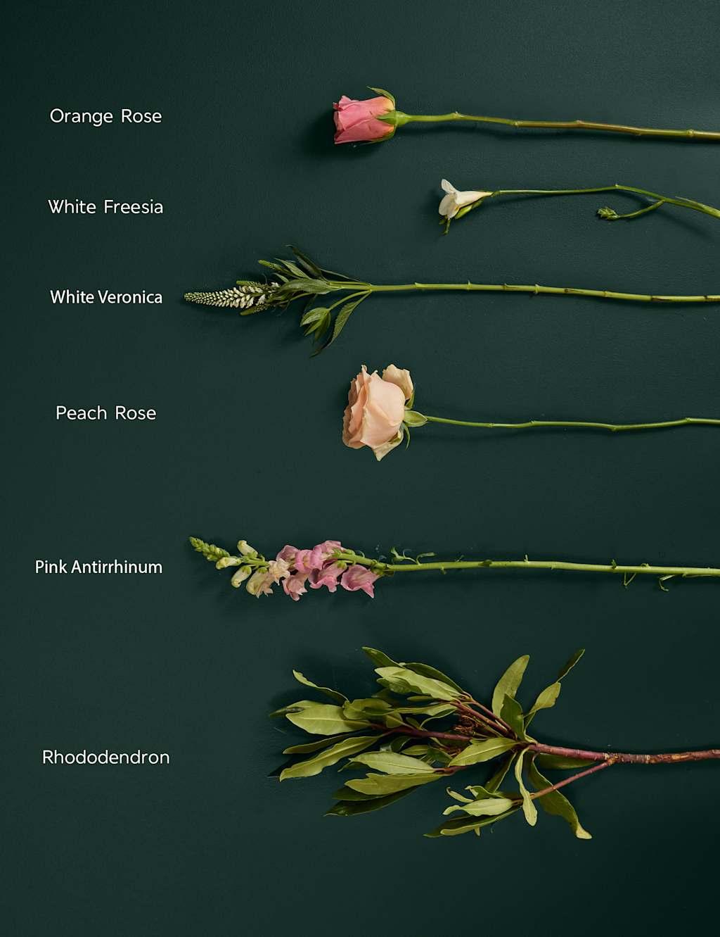Peach Rose & Freesia Bouquet 5 of 8