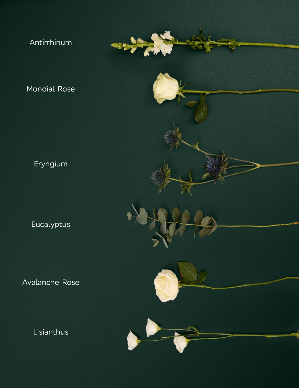 White Rose, Antirrhinum & Lisianthus Bouquet 4 of 7