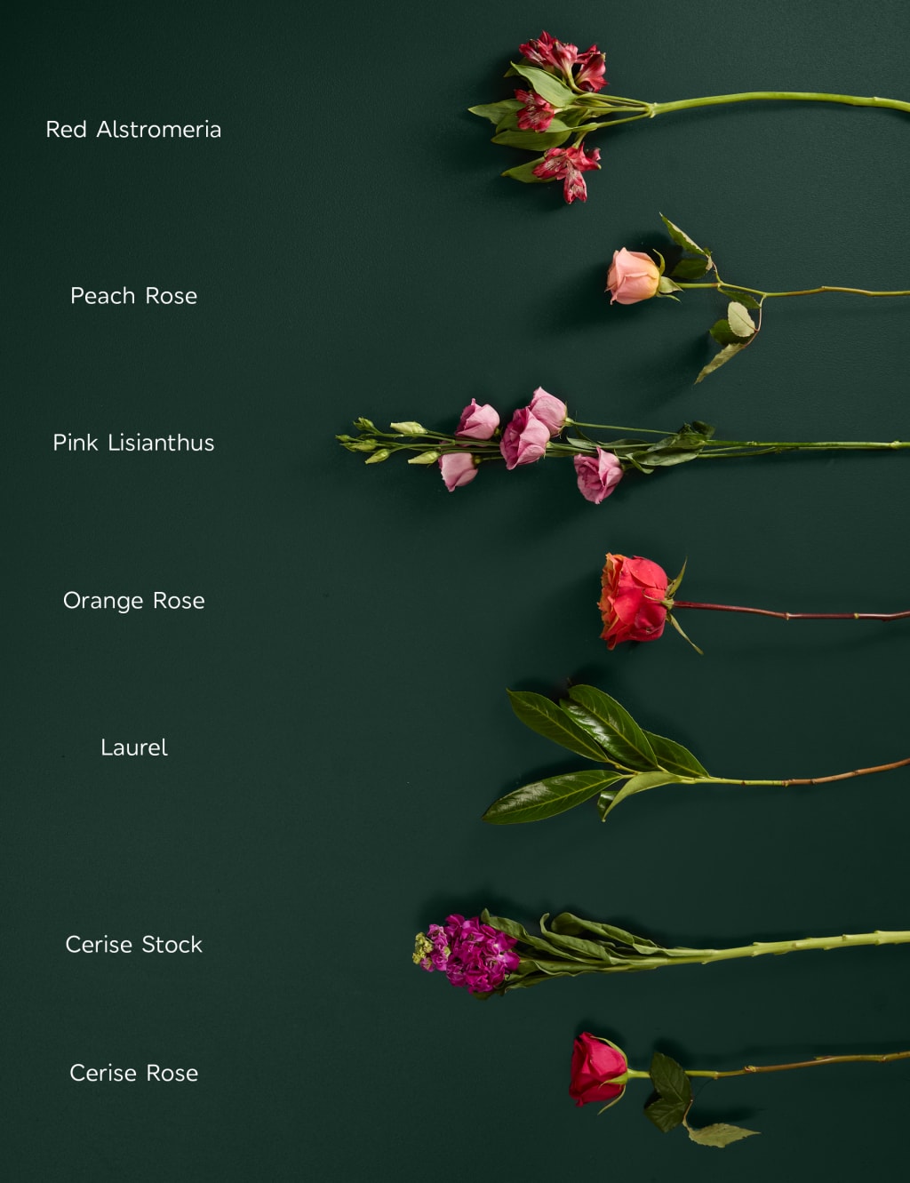 Roses, Lisianthus & Stock Bright Bouquet With Belgian Classics & Prosecco 6 of 8