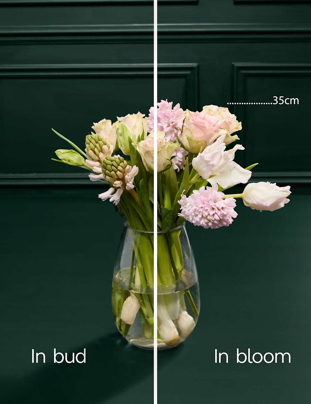 Mother's Day Rose, Hyacinth & Tulip Bouquet 4 of 6