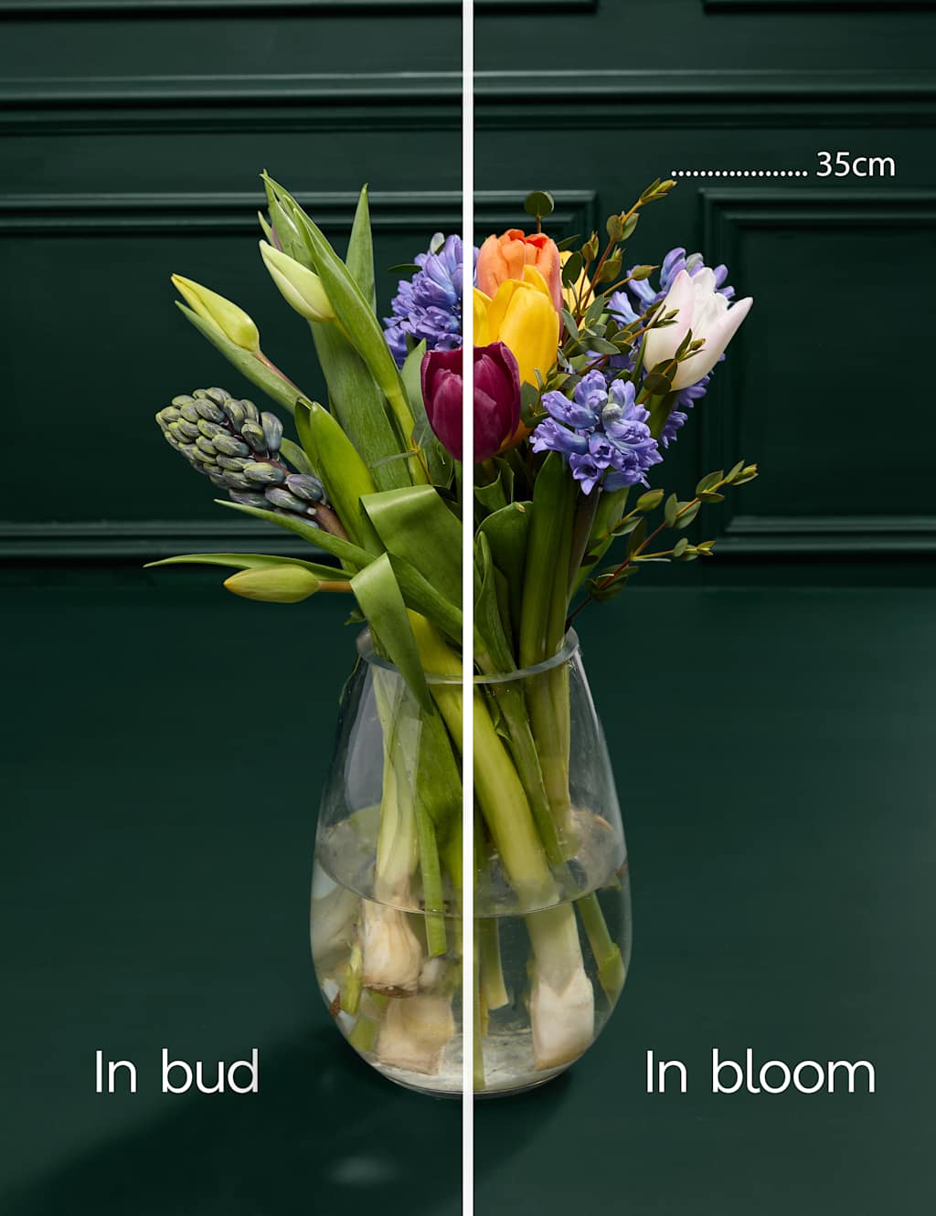 Hyacinth & Tulip Bouquet with Marc De Champagne Truffles 5 of 8