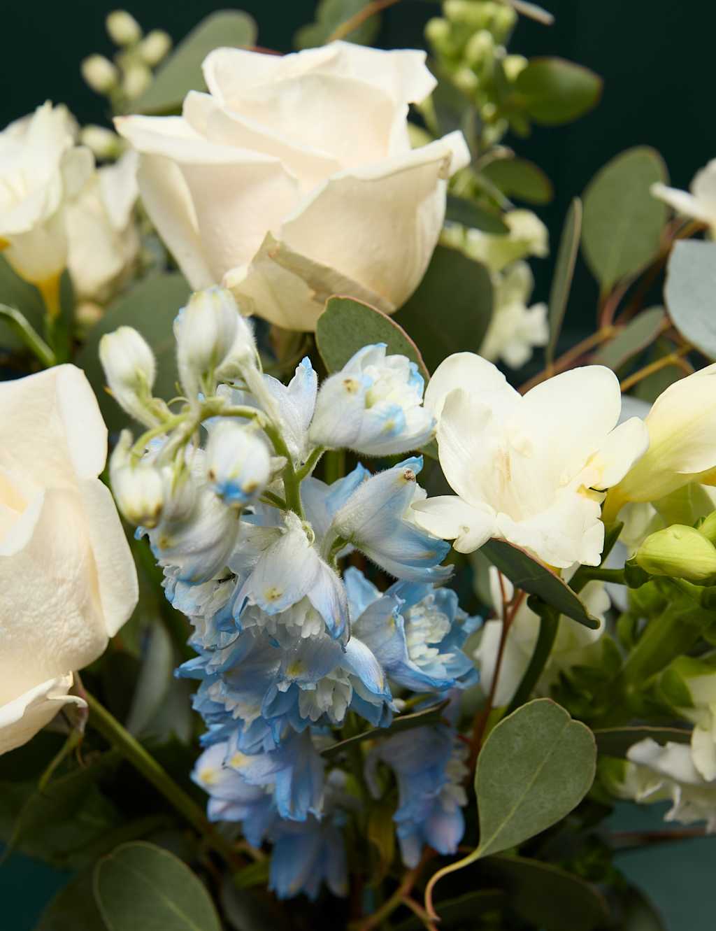 Cream Rose Delphinium & Freesia Bouquet with Vase 3 of 8