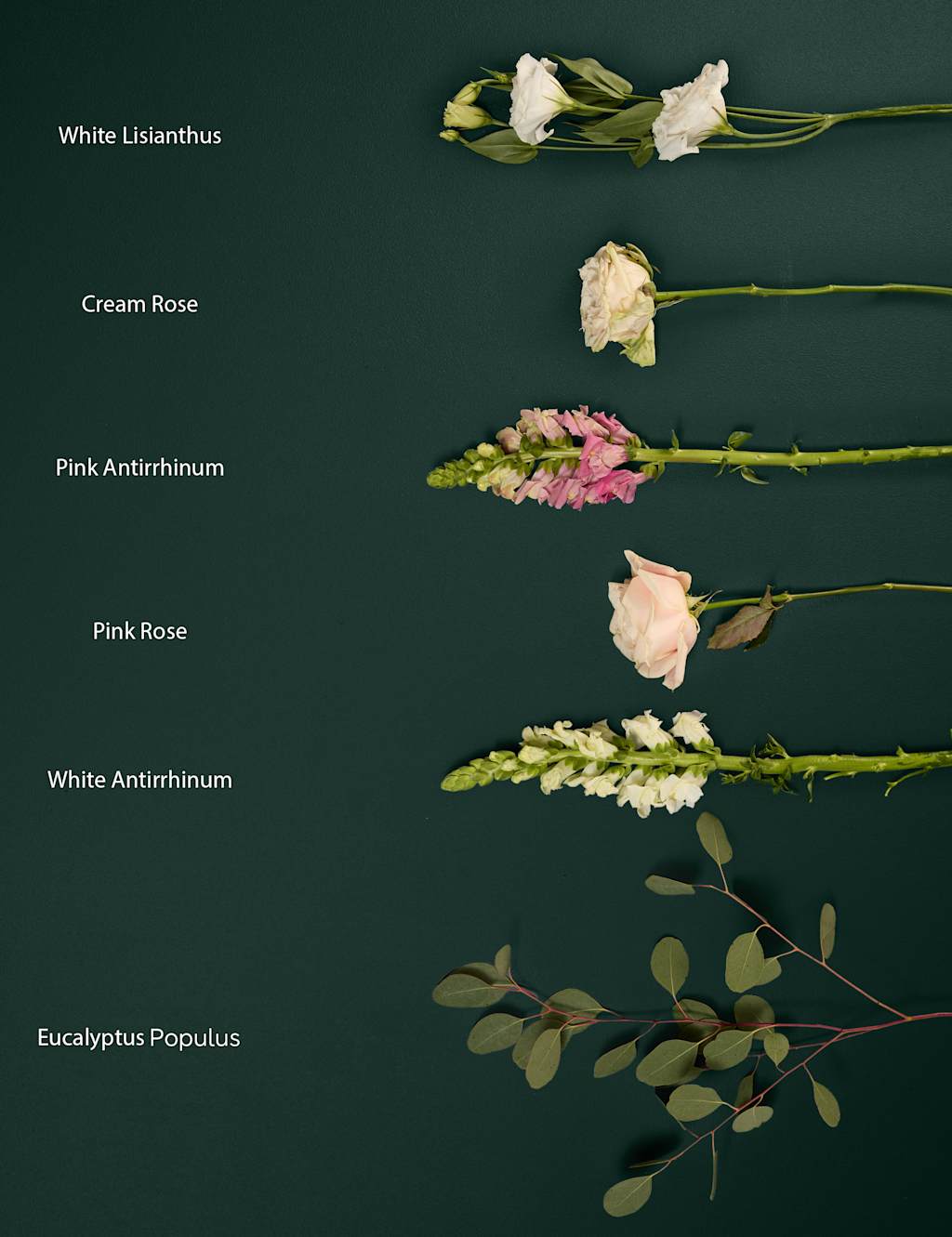 Mother's Day Roses & Antirrhinum Bouquet 4 of 9