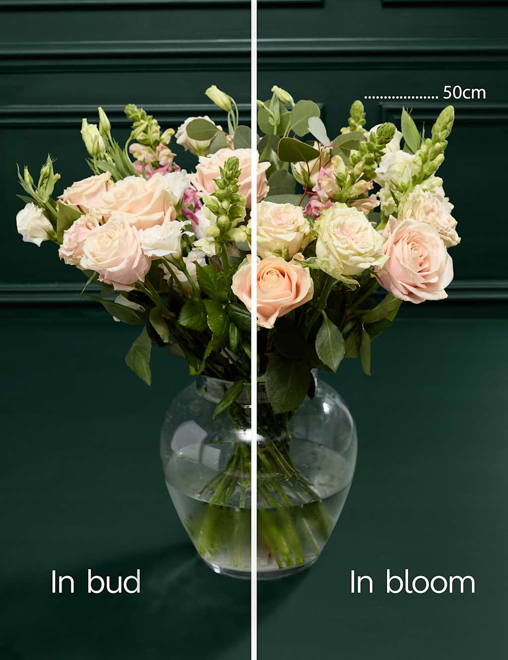 Mother's Day Roses & Antirrhinum Bouquet 6 of 9
