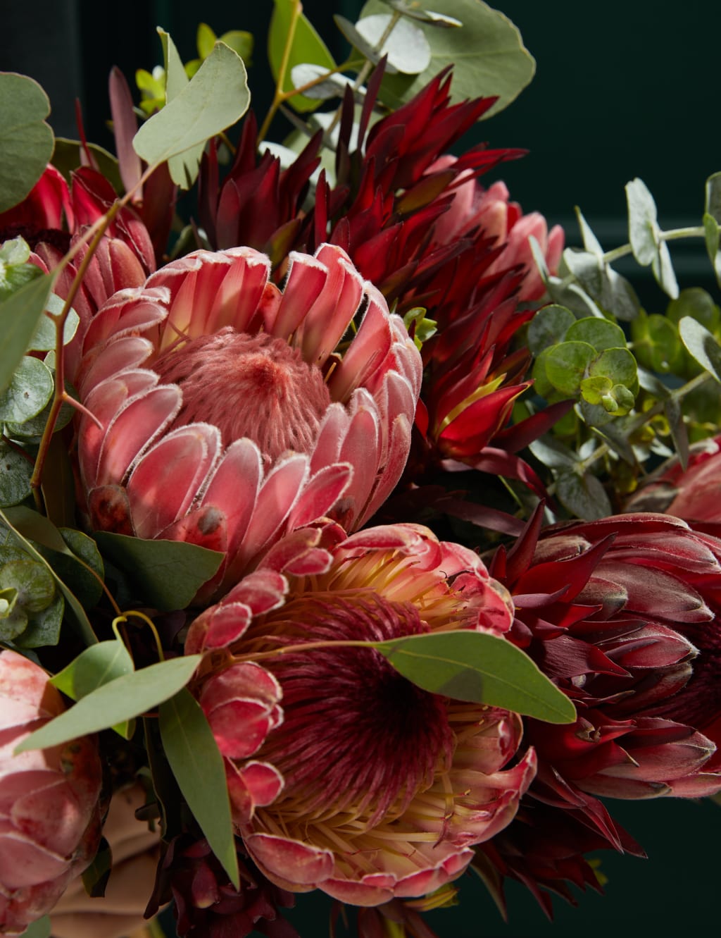 Large Protea Posy Bouquet 3 of 4