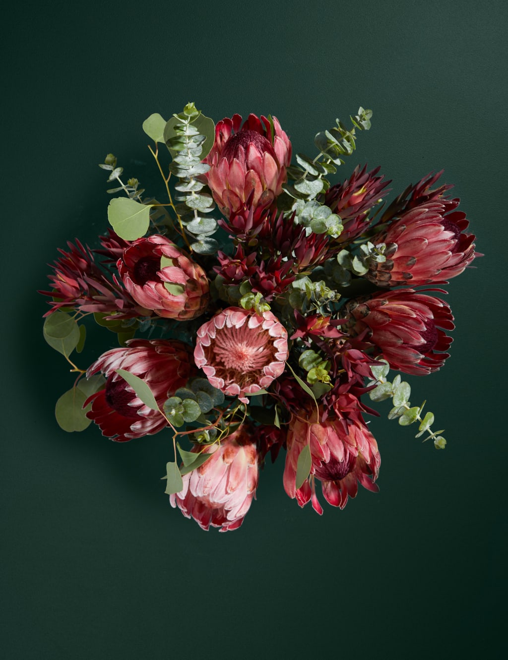 Large Protea Posy Bouquet 2 of 4