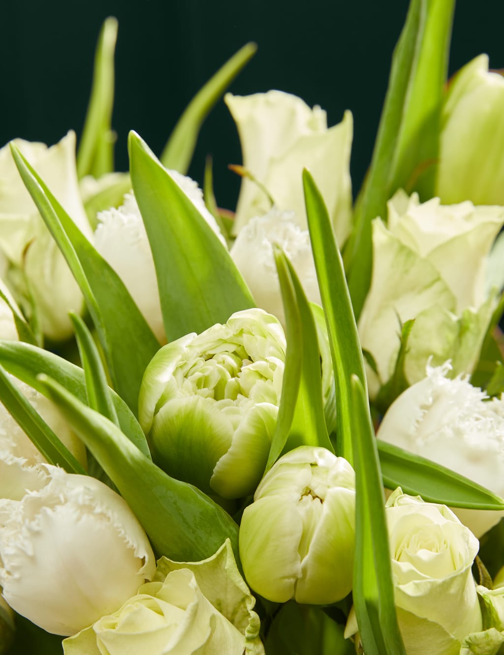 Rose & Speciality Tulip Bouquet 3 of 5