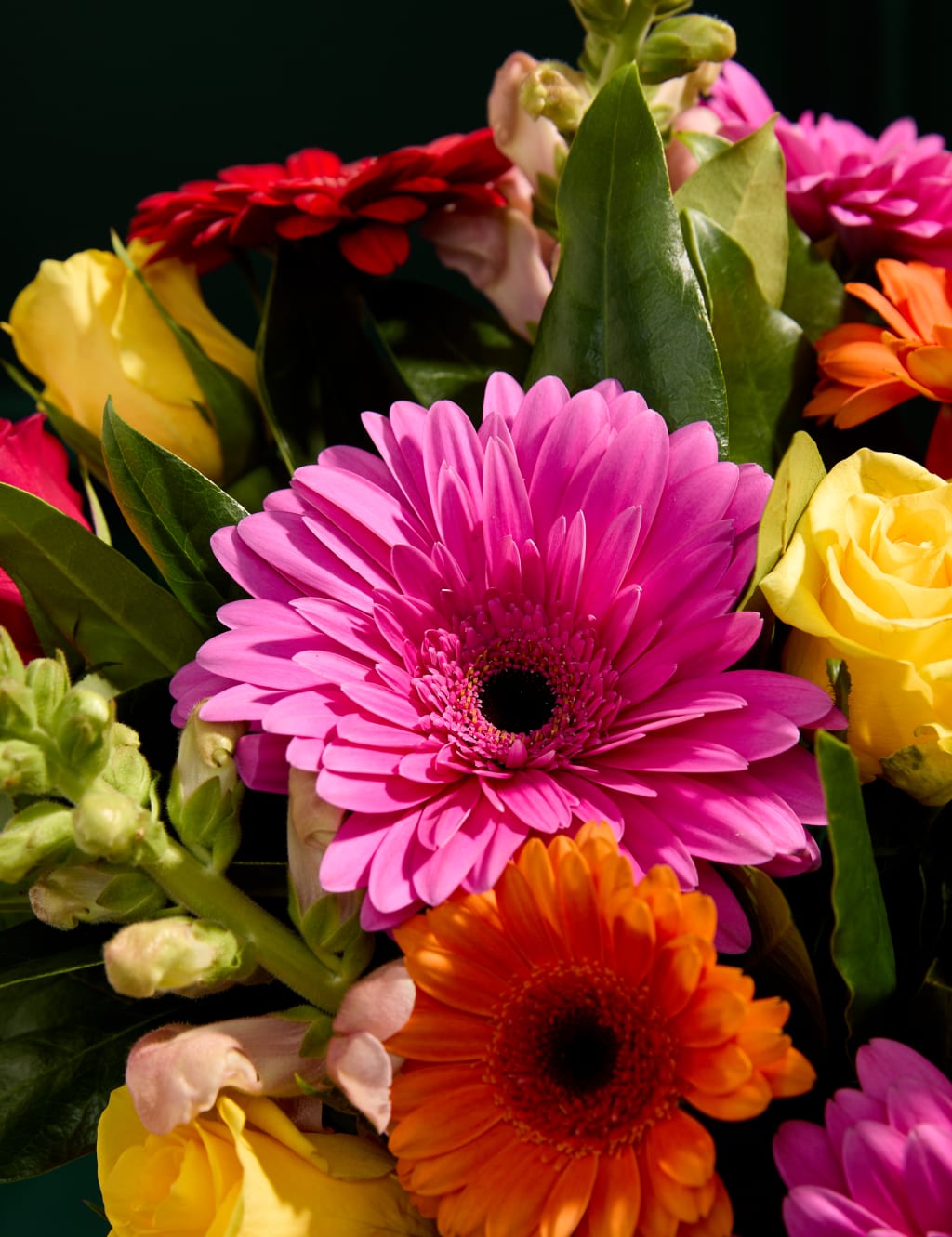 Bright Rose, Germini & Antirrhinum Bouquet 3 of 6