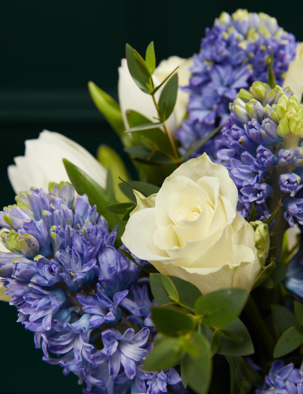 Rose, Tulip & Blue Hyacinth with Vase 3 of 5