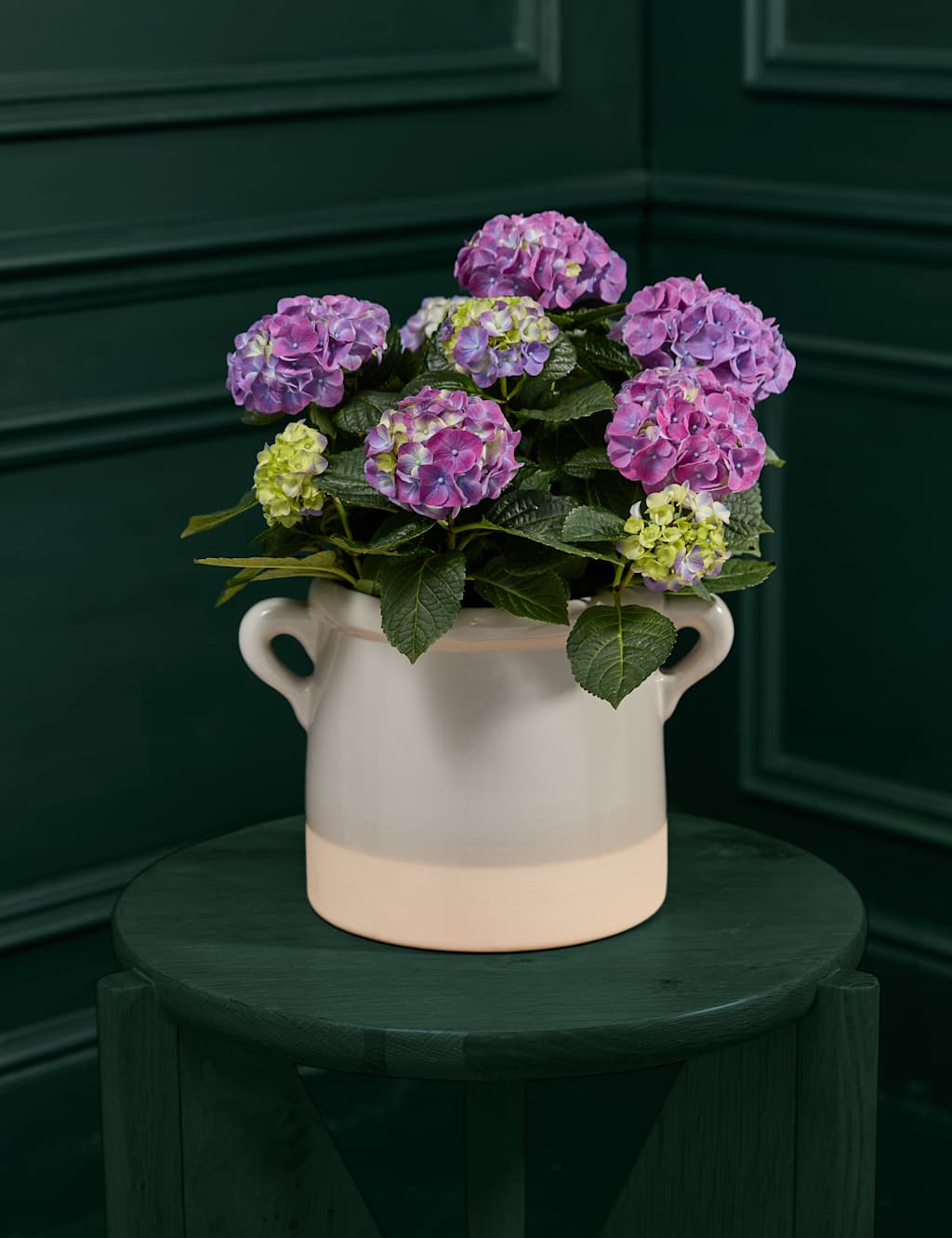 Mum's Hydrangea with Sky Blue Ceramic Pot 1 of 4