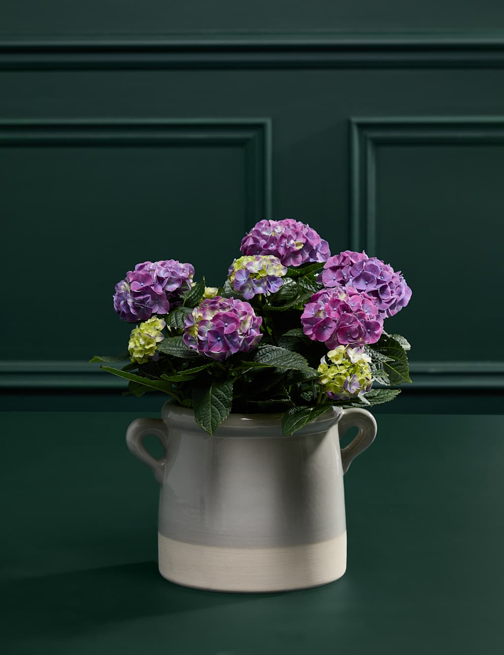 Mum's Hydrangea with Sky Blue Ceramic Pot 3 of 4