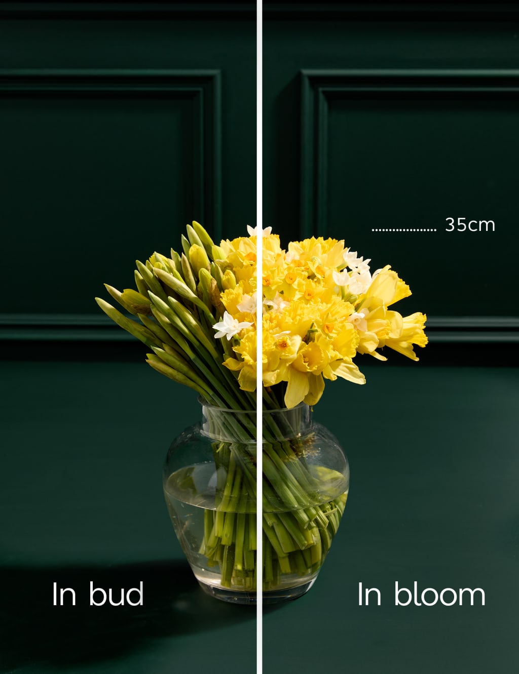 Katherine Jenkins Cygnet Gin + Seasonal Favourite Blooms: Daffodils 5 of 7