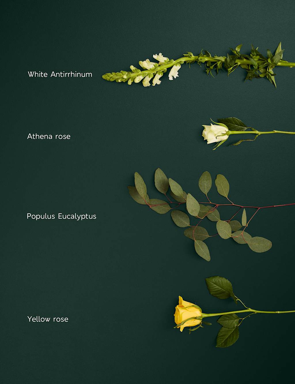 Easter Rose & Antirrhinum Bouquet 4 of 5