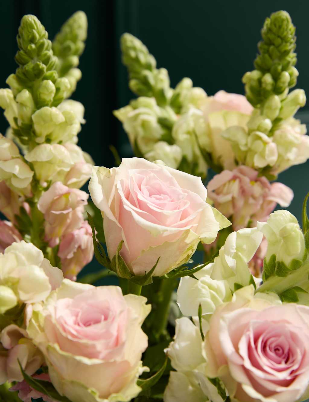 Rose & Antirrhinum Bouquet 3 of 6