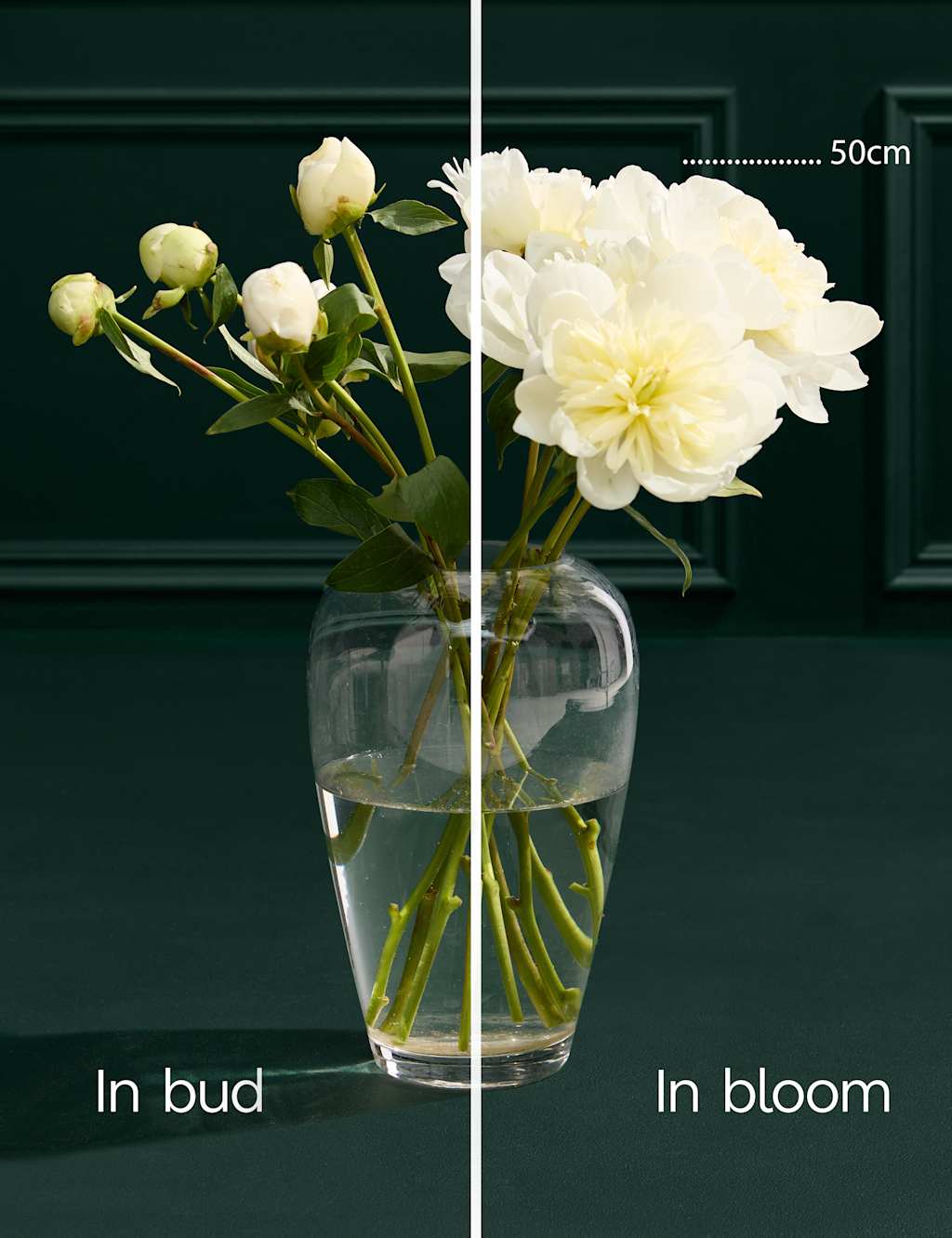 An Abundance of Seasonal White Peonies 4 of 6