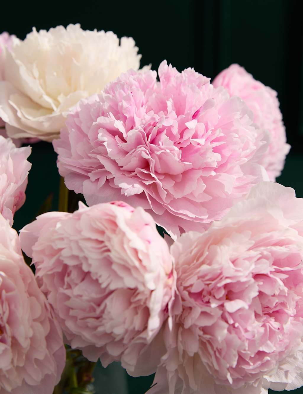 Seasonal Peony Bouquet with Scented Candle 3 of 7