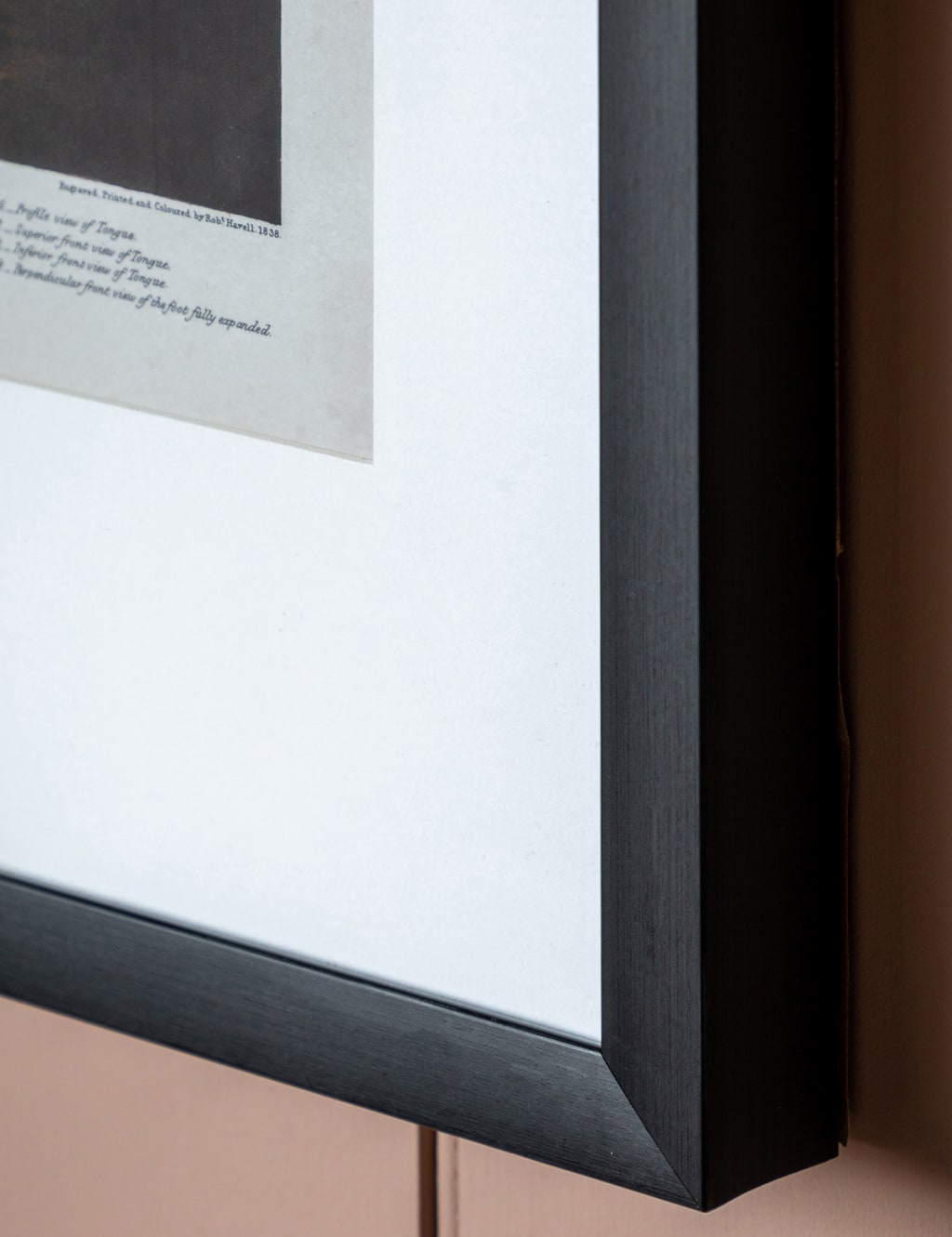 Curious Flamingo Rectangle Framed Art 3 of 4