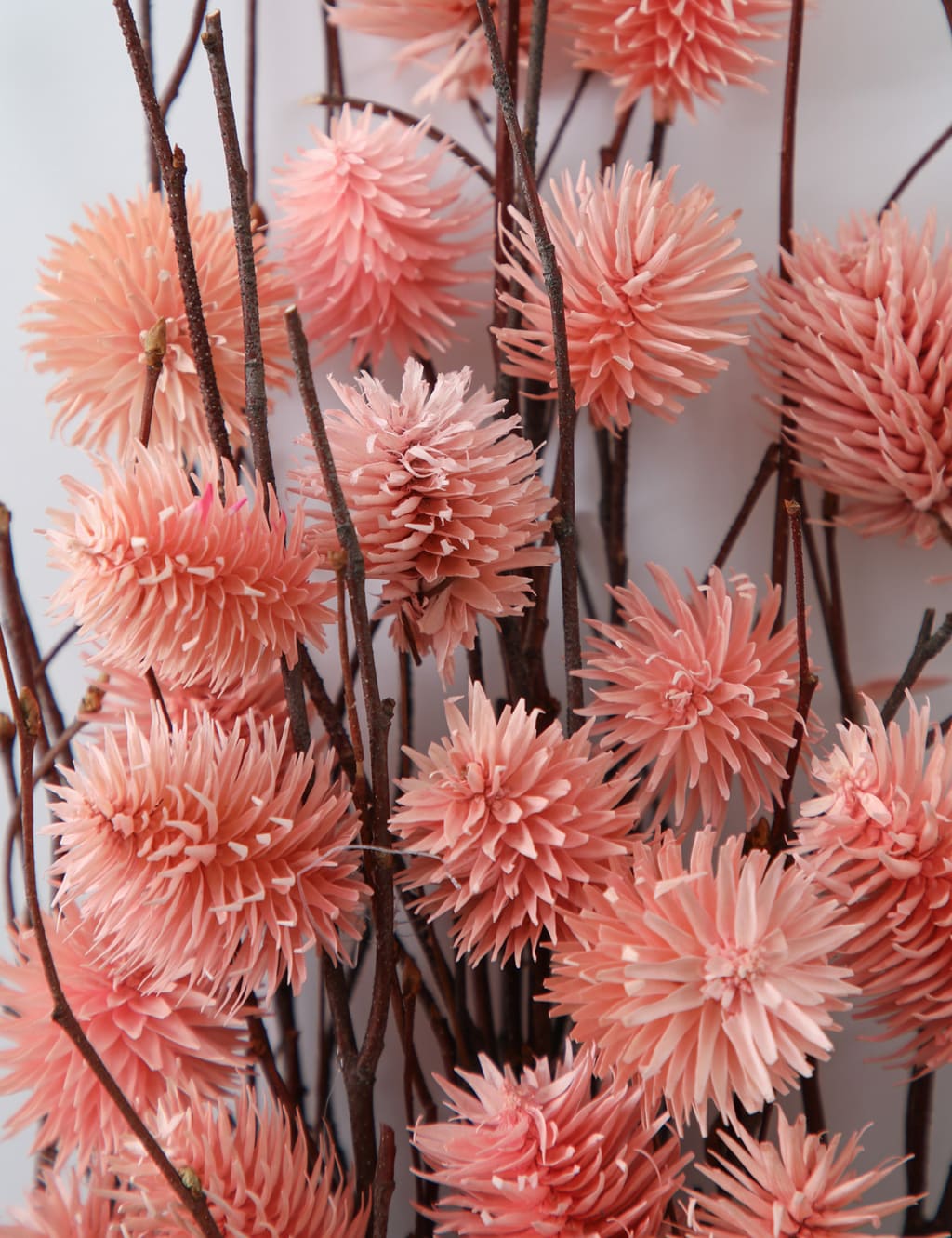 Dried Thistle Bouquet 3 of 3