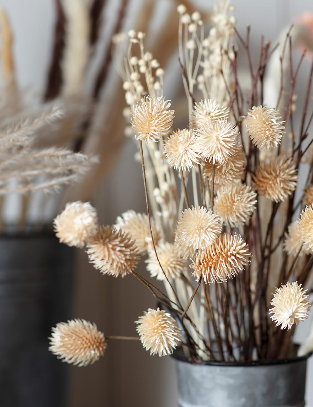 Dried Thistle Bouquet 2 of 3