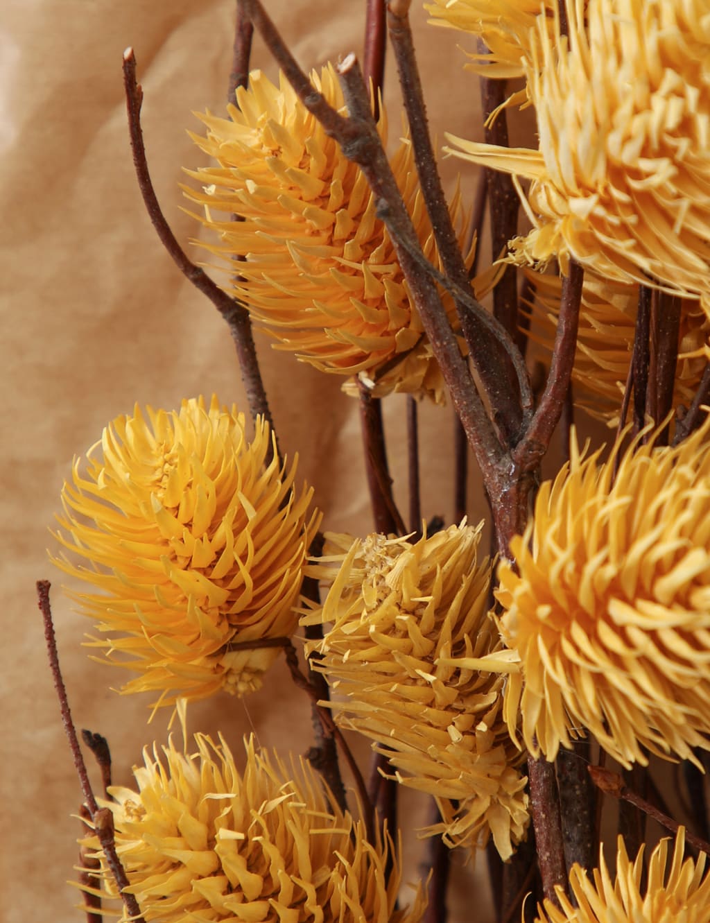 Dried Thistle Bouquet 2 of 3