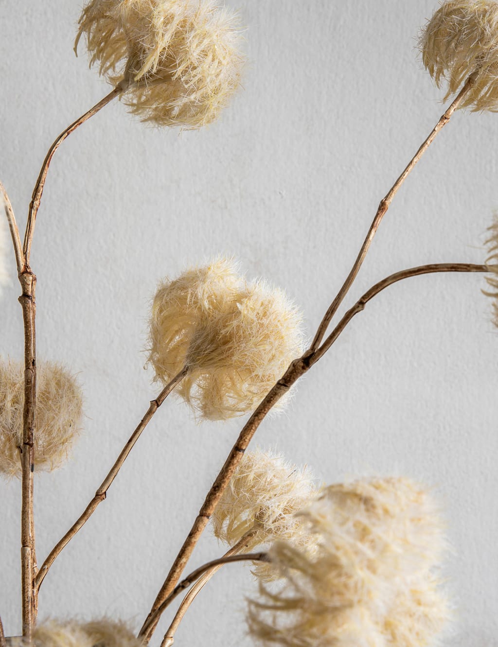Set of 5 Artificial Dried Clematis Stems 4 of 5
