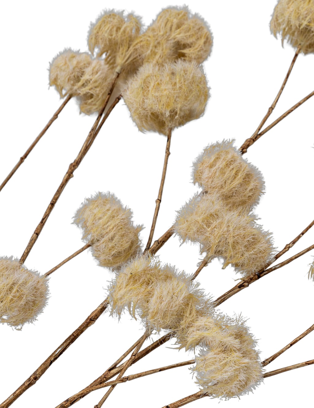 Set of 5 Artificial Dried Clematis Stems 5 of 5