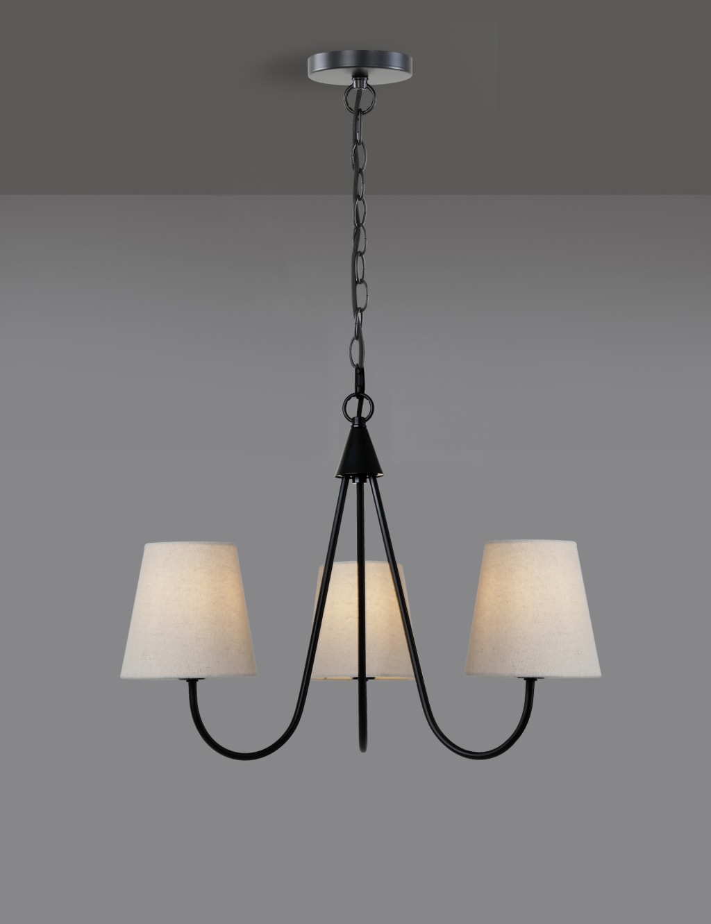 3 Shade Ceiling Light