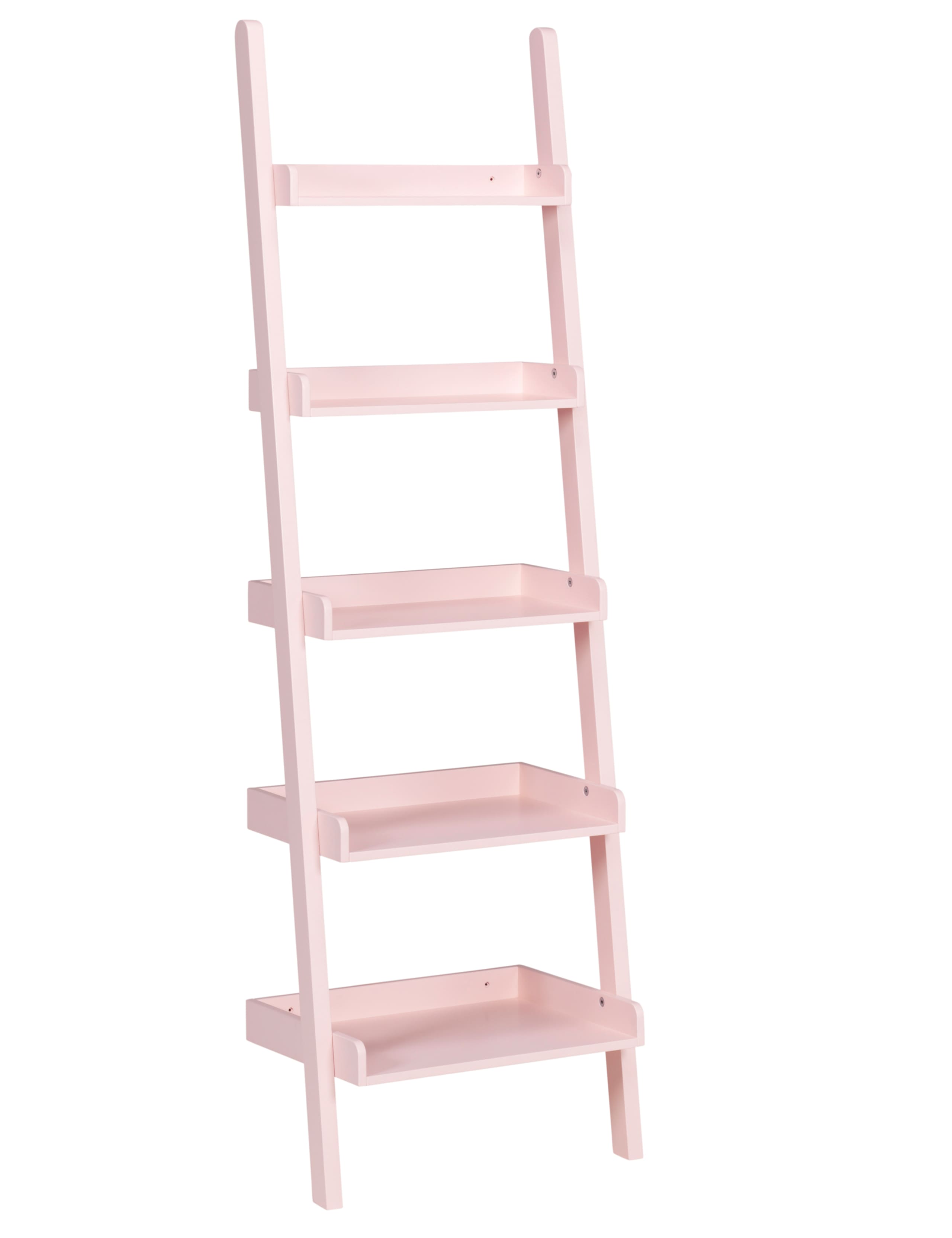 Step Ladder Shelving Unit 2 of 3
