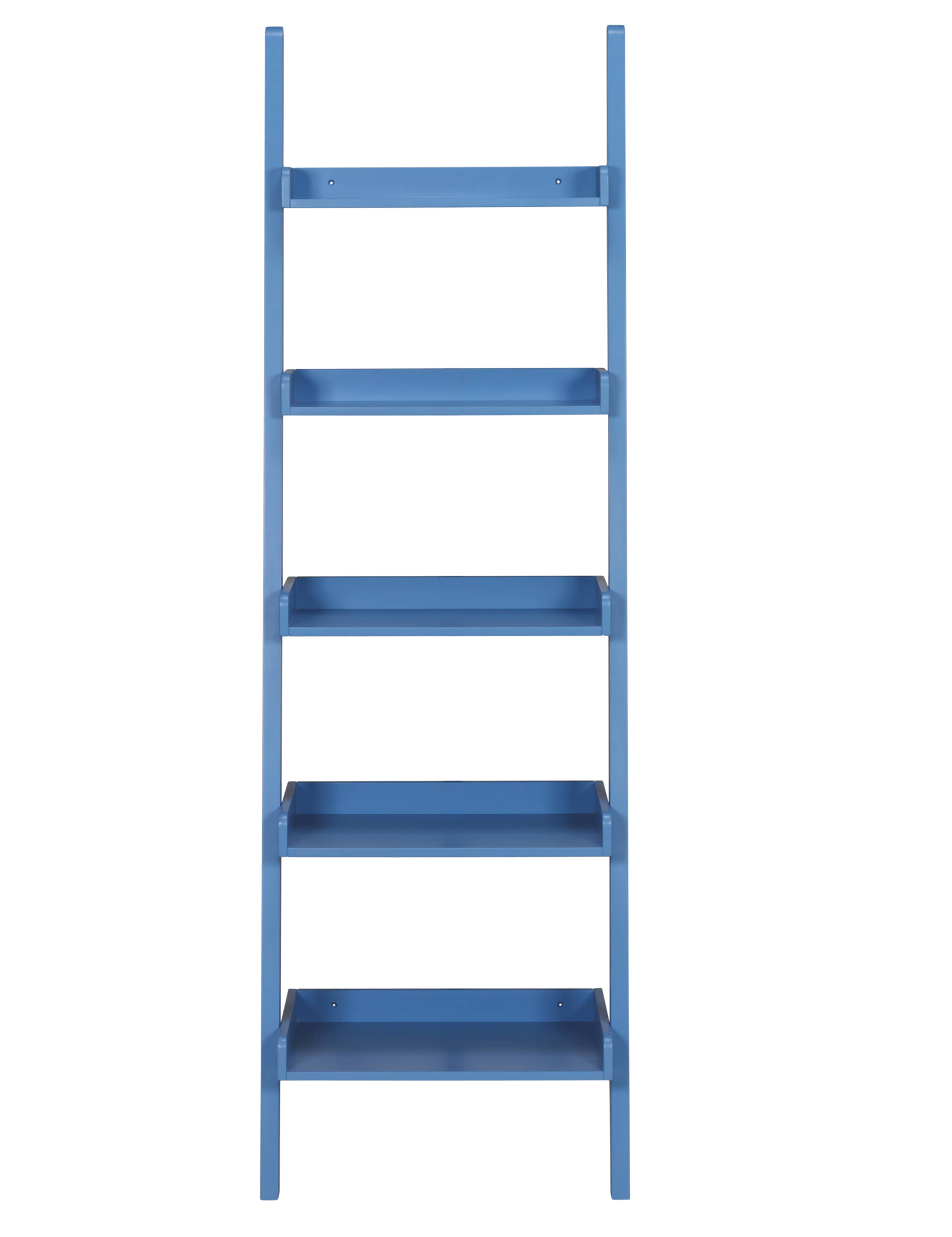 Step Ladder Shelving Unit 1 of 3